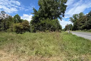 Laurel Dale Rd, New Creek, WV 26743 - Photo 1