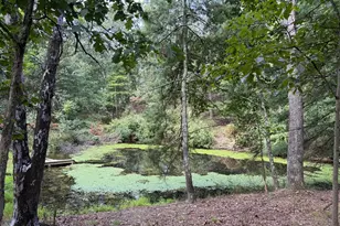 Fairview Dr, Berkeley Springs, WV 25411 - Photo 1