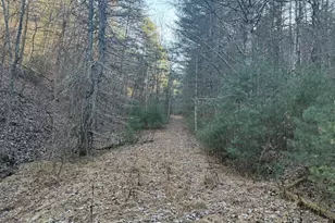 Buck Hill Ln, Sugar Grove, WV 26815 - Photo 1