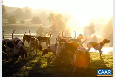 Lot 49 Palmer Dr Drive, Keswick, VA 22947 - Photo 10