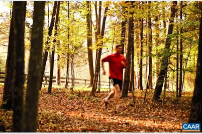 Lot 49 Palmer Dr Drive, Keswick, VA 22947 - Photo 12