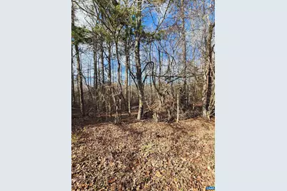 Tbd Union Hill Rd, Buckingham, VA 23921 - Photo 4
