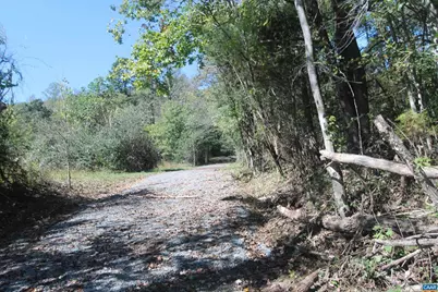 Tbd 1 Toco Hl #020B0, North Garden, VA 22959 - Photo 8