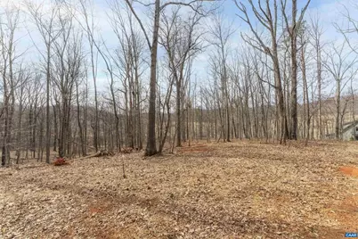 Tbd Winsome Orchard Ln #D6, North Garden, VA 22959 - Photo 2