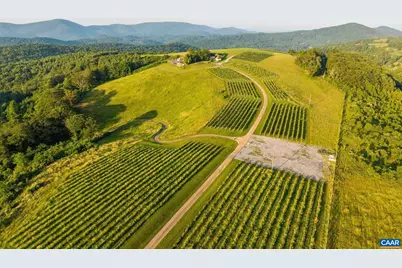 24981 Blue Ridge Pkwy, Vesuvius, VA 24483 - Photo 12