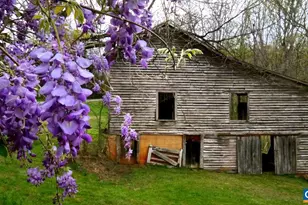 2256 Adial Rd, Faber, VA 22938 - Photo 40