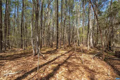 Lot 27 Martin Kings Rd #07600, Charlottesville, VA 22902 - Photo 18