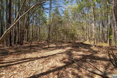 Lot 27 Martin Kings Rd #07600, Charlottesville, VA 22902 - Photo 32