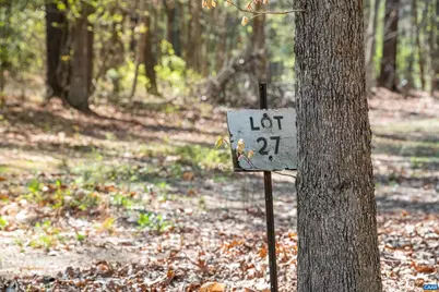 Lot 27 Martin Kings Rd #07600, Charlottesville, VA 22902 - Photo 6