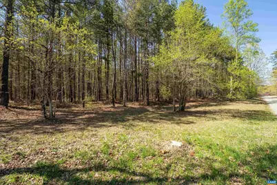 Lot 27 Martin Kings Rd #07600, Charlottesville, VA 22902 - Photo 8