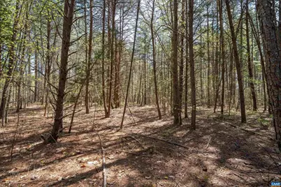 Lot 27 Martin Kings Rd #07600, Charlottesville, VA 22902 - Photo 28