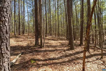 Lot 27 Martin Kings Rd #07600, Charlottesville, VA 22902 - Photo 26