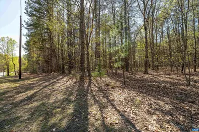 Lot 27 Martin Kings Rd #07600, Charlottesville, VA 22902 - Photo 38