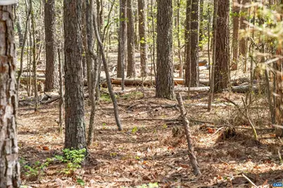 Lot 27 Martin Kings Rd #07600, Charlottesville, VA 22902 - Photo 36