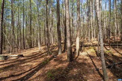 Lot 27 Martin Kings Rd #07600, Charlottesville, VA 22902 - Photo 24