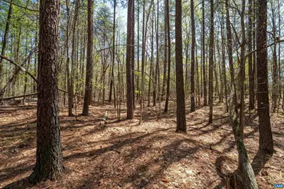 Lot 27 Martin Kings Rd #07600, Charlottesville, VA 22902 - Photo 20