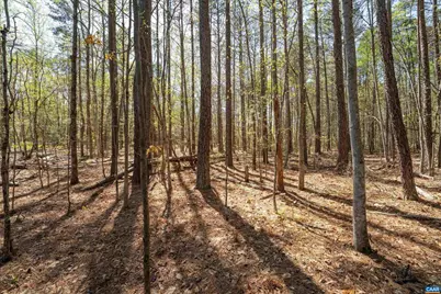 Lot 27 Martin Kings Rd #07600, Charlottesville, VA 22902 - Photo 34