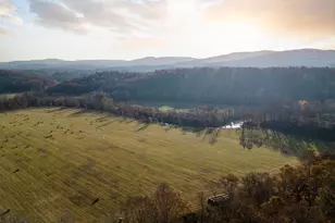 7 Odom Ct, Charlottesville, VA 22911 - Photo 28