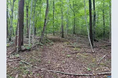 Tbd Rabbit Valley Rd, North Garden, VA 22959 - Photo 4