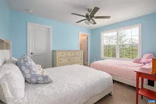 3707 Thicket Run Pl, Charlottesville, VA 22911 - Photo 20