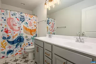 3707 Thicket Run Pl, Charlottesville, VA 22911 - Photo 22