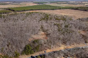 Lot 1 Ivy Rd, Howardsville, VA 24562 - Photo 30