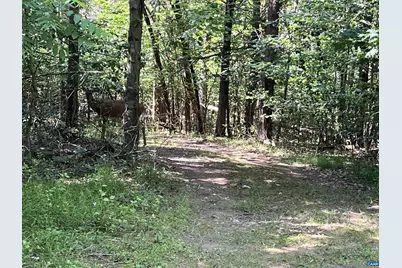 5878A Buffalo River Rd, Earlysville, VA 22936 - Photo 2