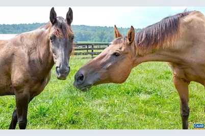 9313 Greenfield Farm, Scottsville, VA 24590 - Photo 42