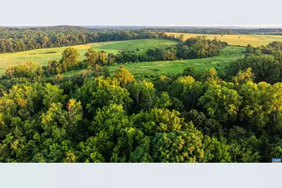 9313 Greenfield Farm, Scottsville, VA 24590 - Photo 30