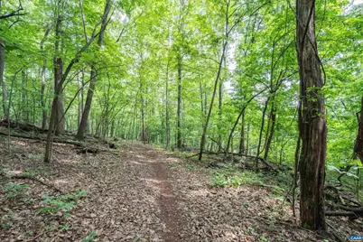 Hyland Ridge Dr #R2, Charlottesville, VA 22901 - Photo 32