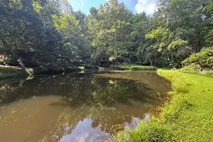 1950 Locust Hollow Rd, Charlottesville, VA 22903 - Photo 46