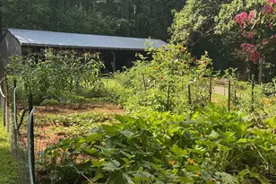 1950 Locust Hollow Rd, Charlottesville, VA 22903 - Photo 40