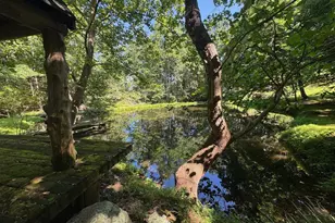 1950 Locust Hollow Rd, Charlottesville, VA 22903 - Photo 44