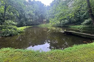 1950 Locust Hollow Rd, Charlottesville, VA 22903 - Photo 48