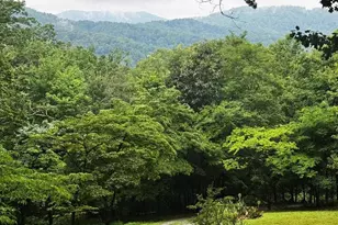 1950 Locust Hollow Rd, Charlottesville, VA 22903 - Photo 52