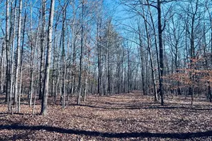 Tbd Running Deer Dr, Keswick, VA 22947 - Photo 1