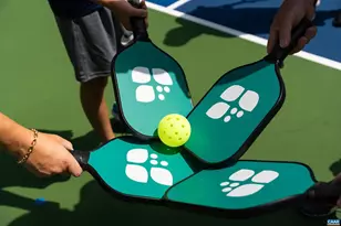 18 Grassy Overlook, Wintergreen, VA 22967 - Photo 54