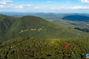 18 Grassy Overlook, Wintergreen, VA 22967 - Photo 40