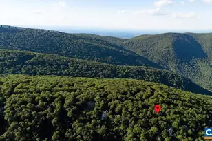 18 Grassy Overlook, Wintergreen, VA 22967 - Photo 42