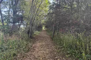 27233 Horseshoe Rd, Culpeper, VA 22701 - Photo 74