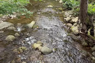 2960 Beech Grove Rd, Roseland, VA 22967 - Photo 72