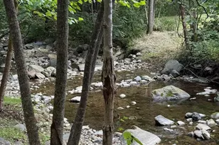 2960 Beech Grove Rd, Roseland, VA 22967 - Photo 18