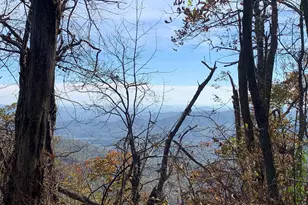 2960 Beech Grove Rd, Roseland, VA 22967 - Photo 6