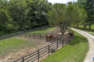 9195 Springwood Rd, Buchanan, VA 24066 - Photo 24