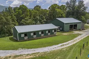 9195 Springwood Rd, Buchanan, VA 24066 - Photo 6