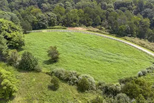 9195 Springwood Rd, Buchanan, VA 24066 - Photo 18