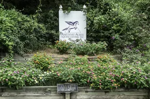 9195 Springwood Rd, Buchanan, VA 24066 - Photo 1