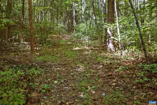 299 Sunrise Dr, Afton, VA 22920 - Photo 38