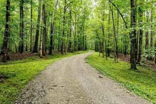 Tbd Thorn Rose Ln, Charlottesville, VA 22902 - Photo 1