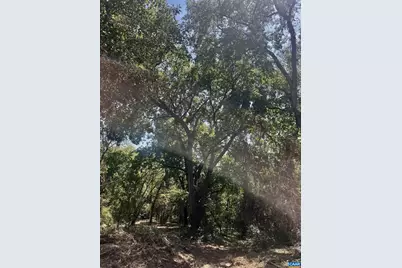 1630 Buck Rd, Crozet, VA 22932 - Photo 30